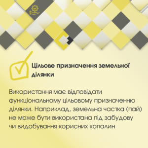 Оренда земельного паю: що має бути в договорі, аби не втратити землю та гроші | SENSUM